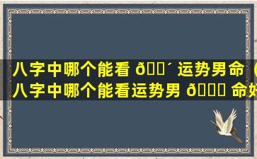 八字中哪个能看 🌴 运势男命（八字中哪个能看运势男 🐒 命好的）